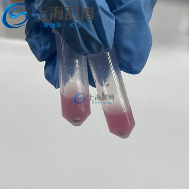 冷凍研磨儀助力動物睪丸組織蛋白、DNA 及 RNA 高效提取實驗案例