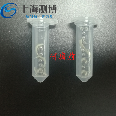 指甲是怎樣利用冷凍研磨儀來提取DNA的？