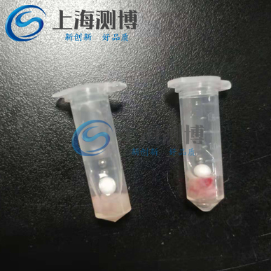 研磨破碎動(dòng)物內(nèi)臟組織實(shí)驗(yàn)全過(guò)程